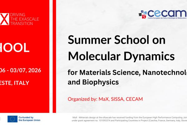 Summer School on Molecular Dynamics for Materials Science, Nanotechnology, and Biophysics