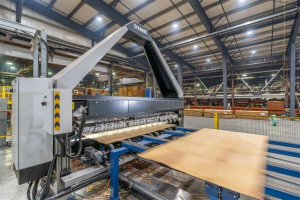 Figure 1: Veneer Drying Line © Raute Oyj