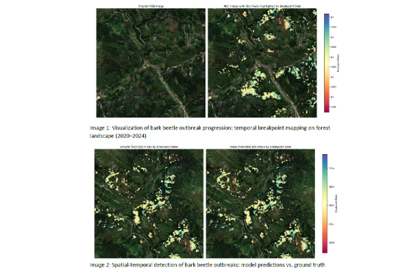 Early bark beetle detection