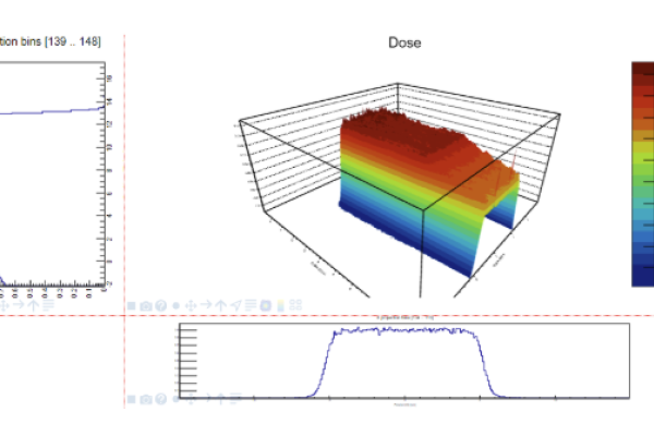 Spatial distribution of dose calculated on HPC cluster and visualised using the yaptide platform. The simulation was based on a clinical treatment plan.